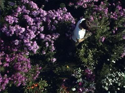 Kranaufnahme Christel Benz im Garten